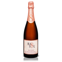 <p
align='left'>Espumante Rio Sol Brut Rosé, Syrah, 375ml, 12.0%</p>