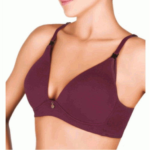 <p
align='center'>Sutiã Amamentação Com Bojo Love Secret , 92309</p>